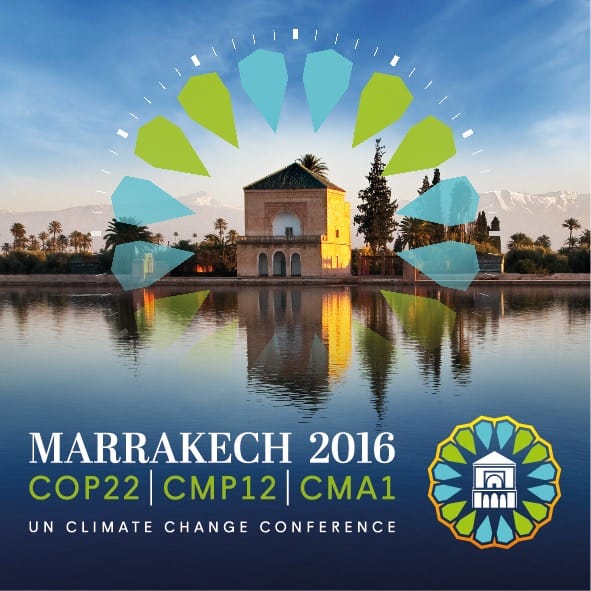 Africa Lights the Way to Climate Action as Marrakech Talks Begin