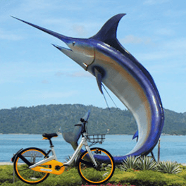 oBike Bike-Sharing Expands to East Malaysia